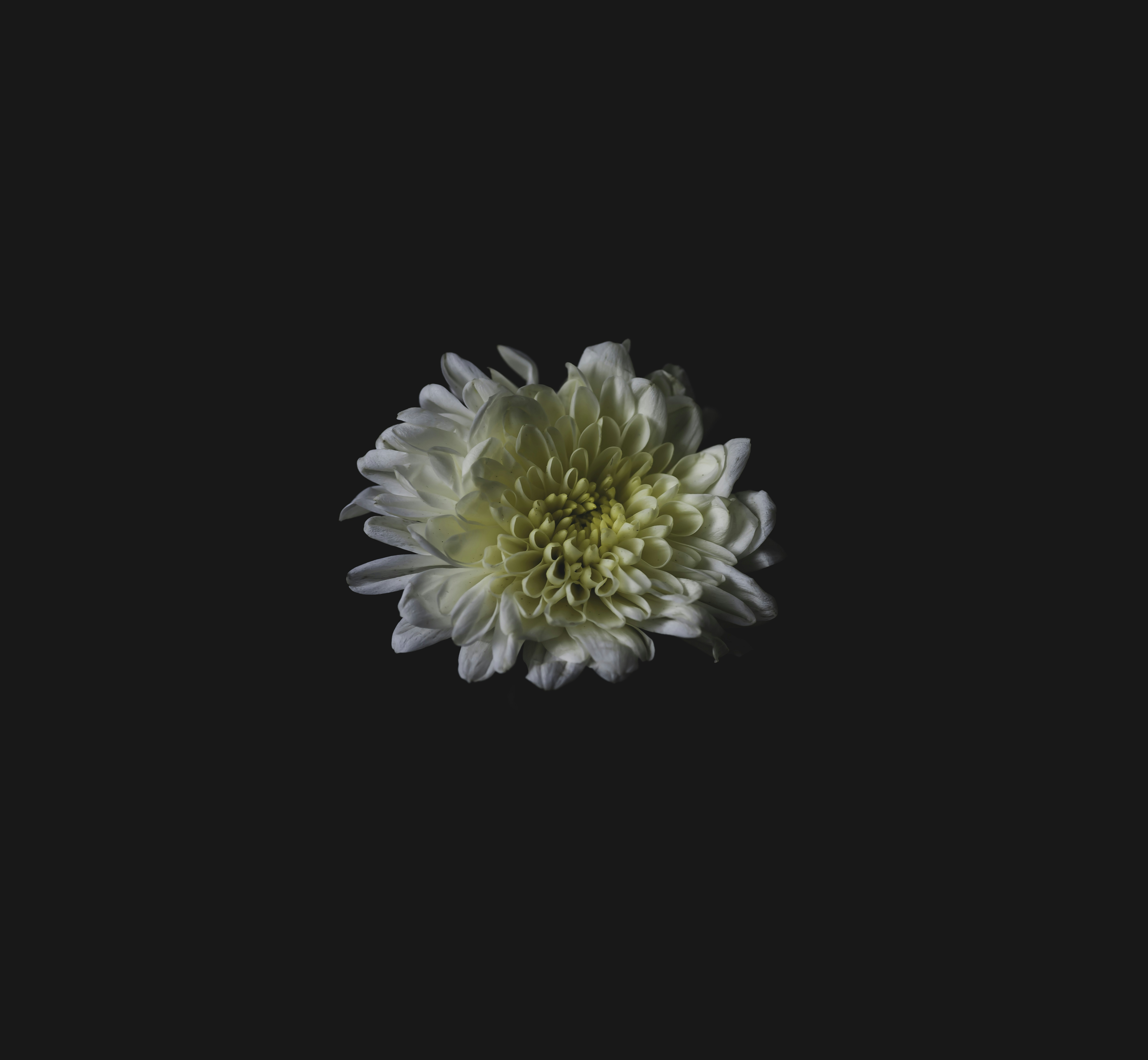 Photo by thom_oxford