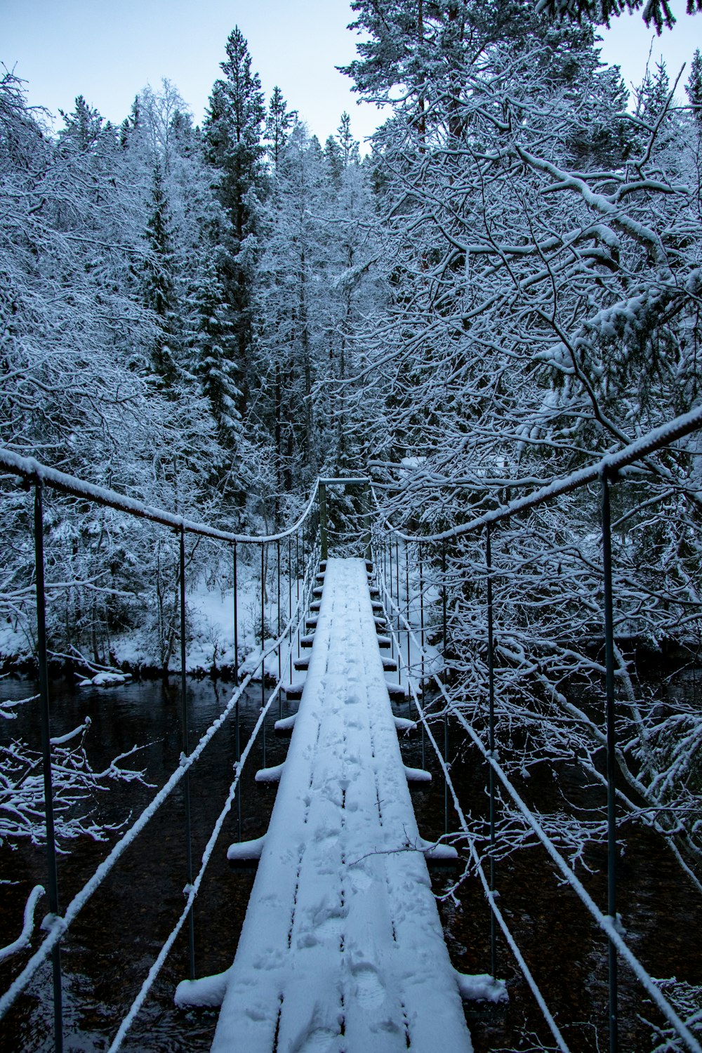 Photo en niveaux de gris d’un pont au-dessus de la rivière