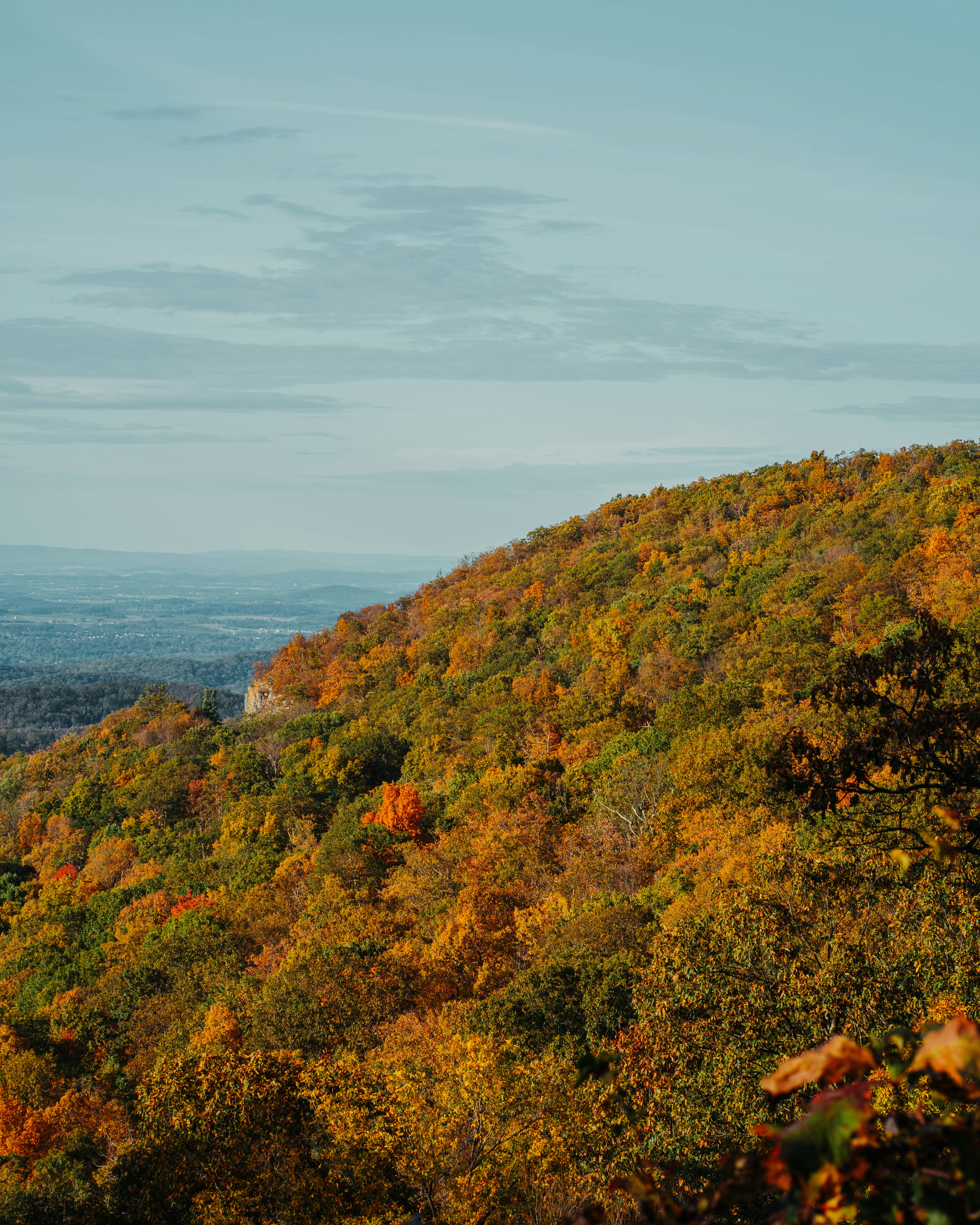 昼間の青空の下の緑と茶色の山の写真 Unsplashで見つける秋の無料写真
