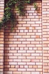 tuckpointing on brick wall