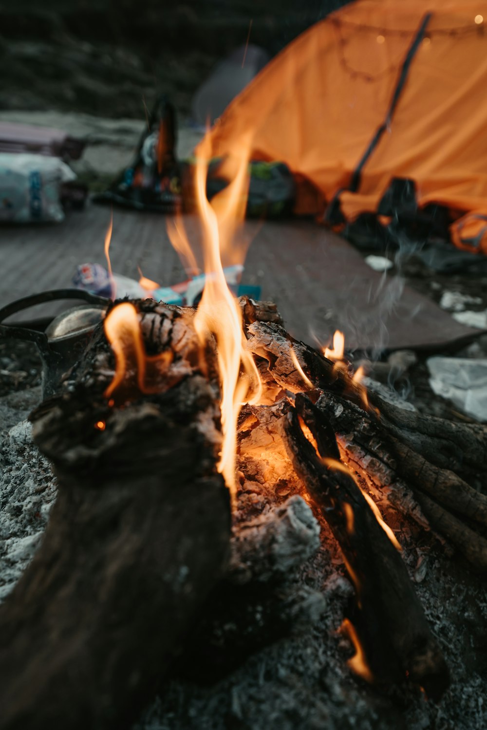 burning wood on fire pit