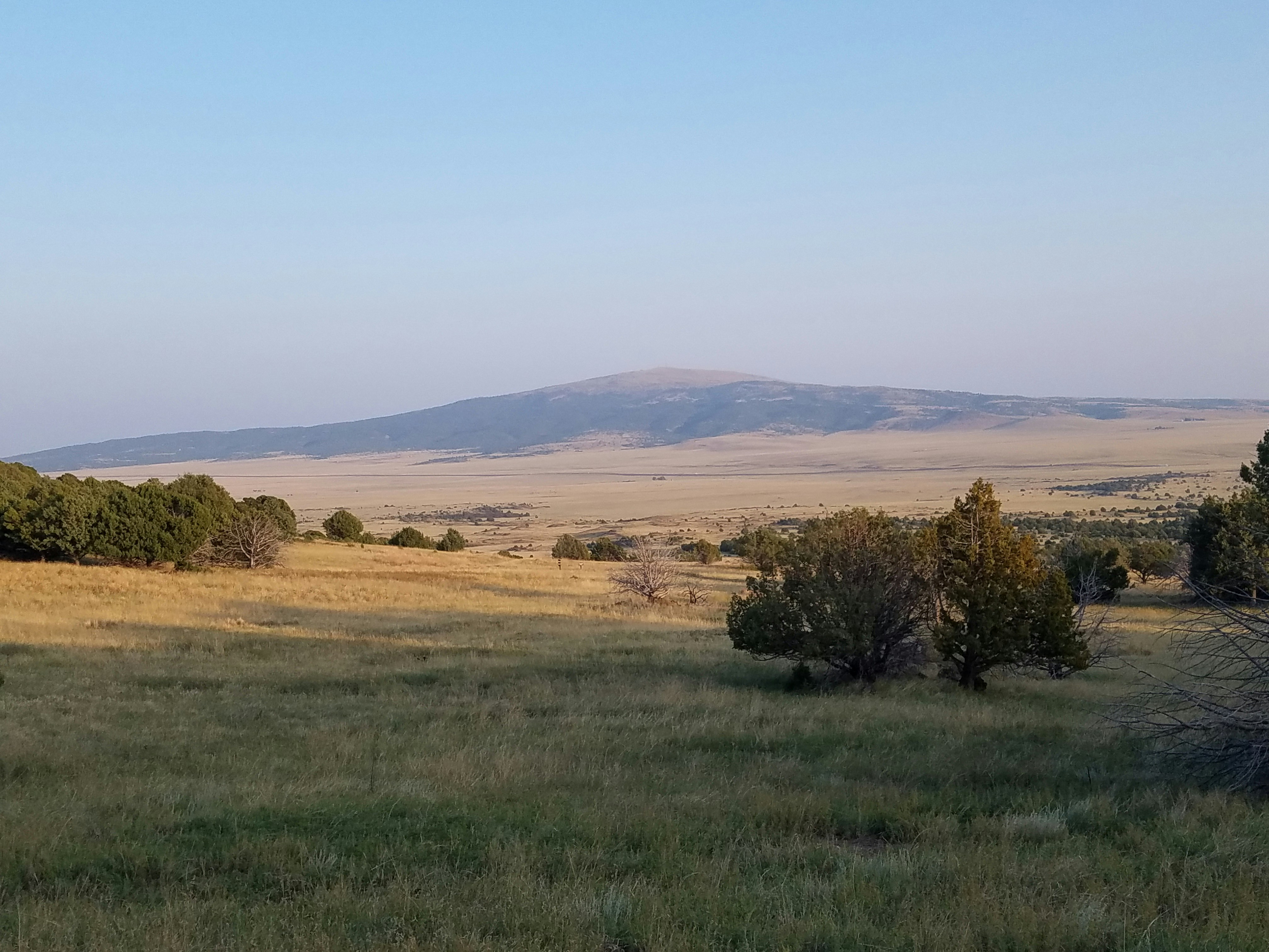 green grass field with brown grass field and trees under blue sky during daytime