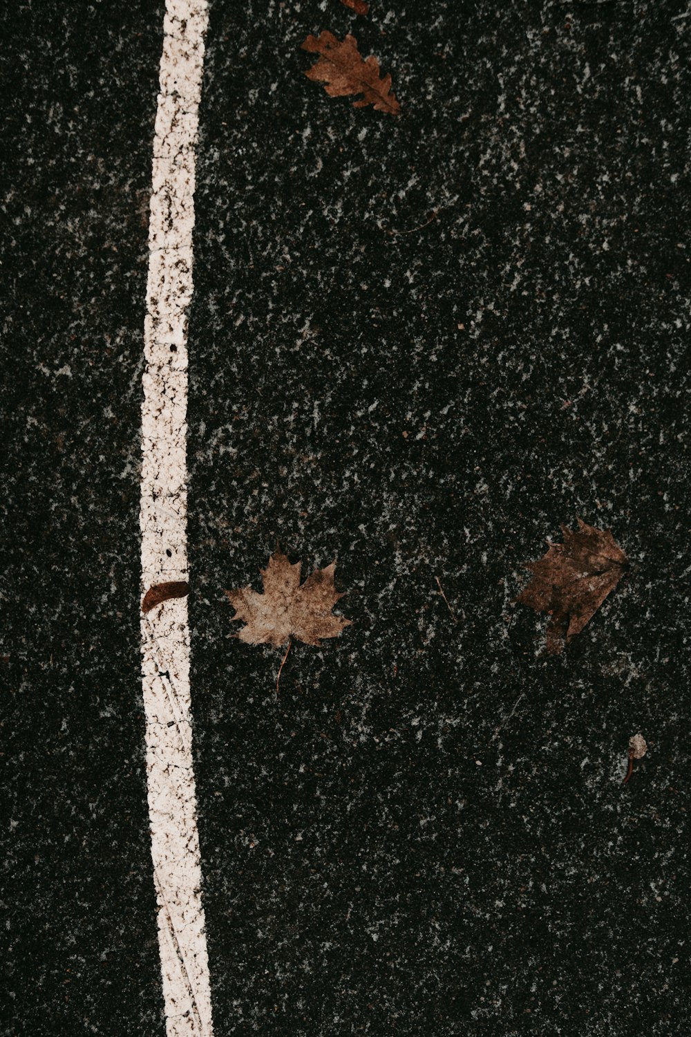 white and brown wooden stick on black and brown textile