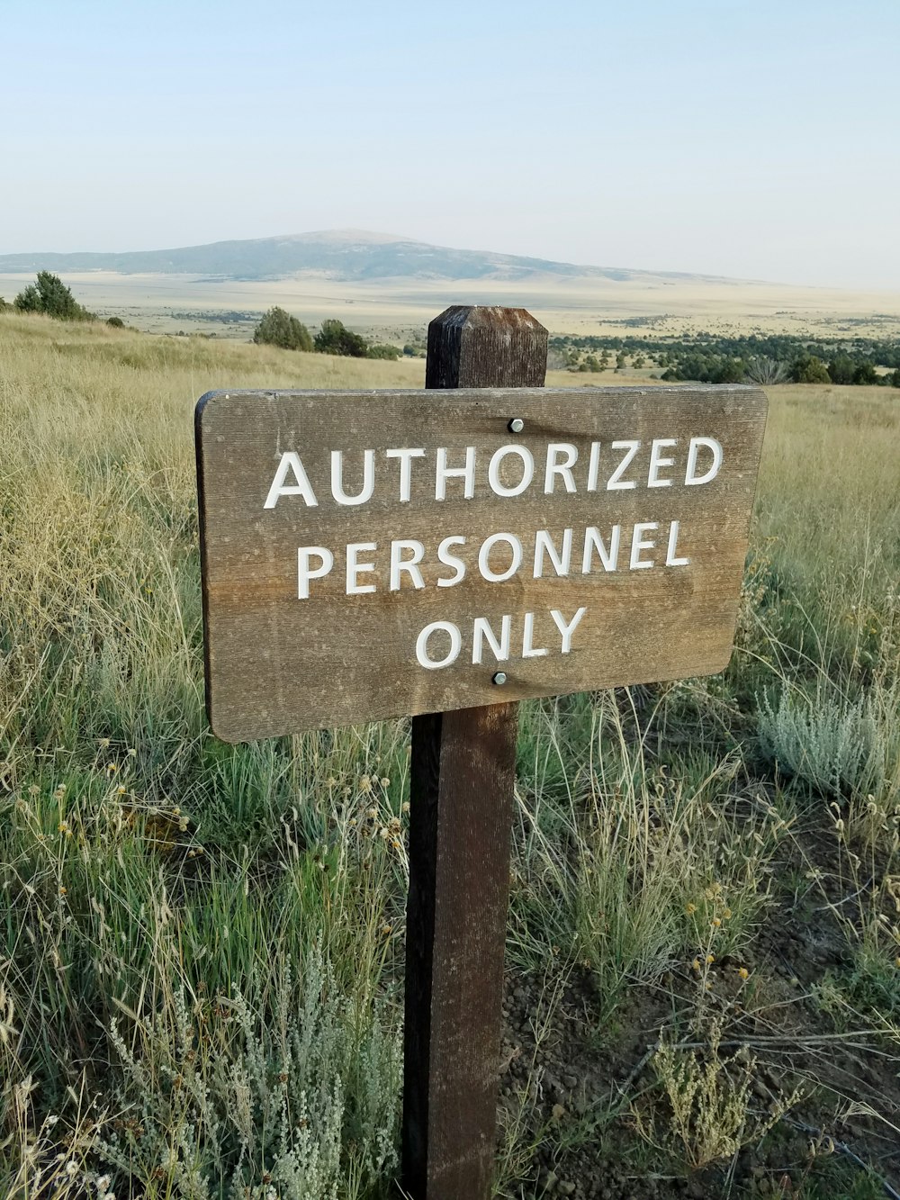 brown wooden signage on green grass field during daytime