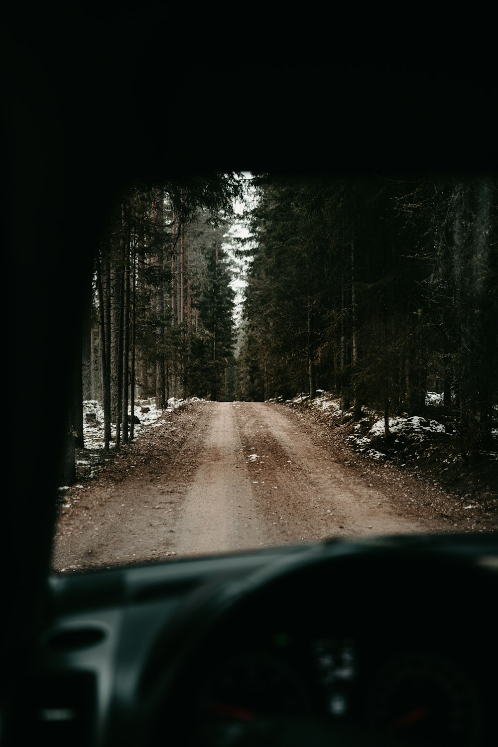 brown dirt road between trees during daytime