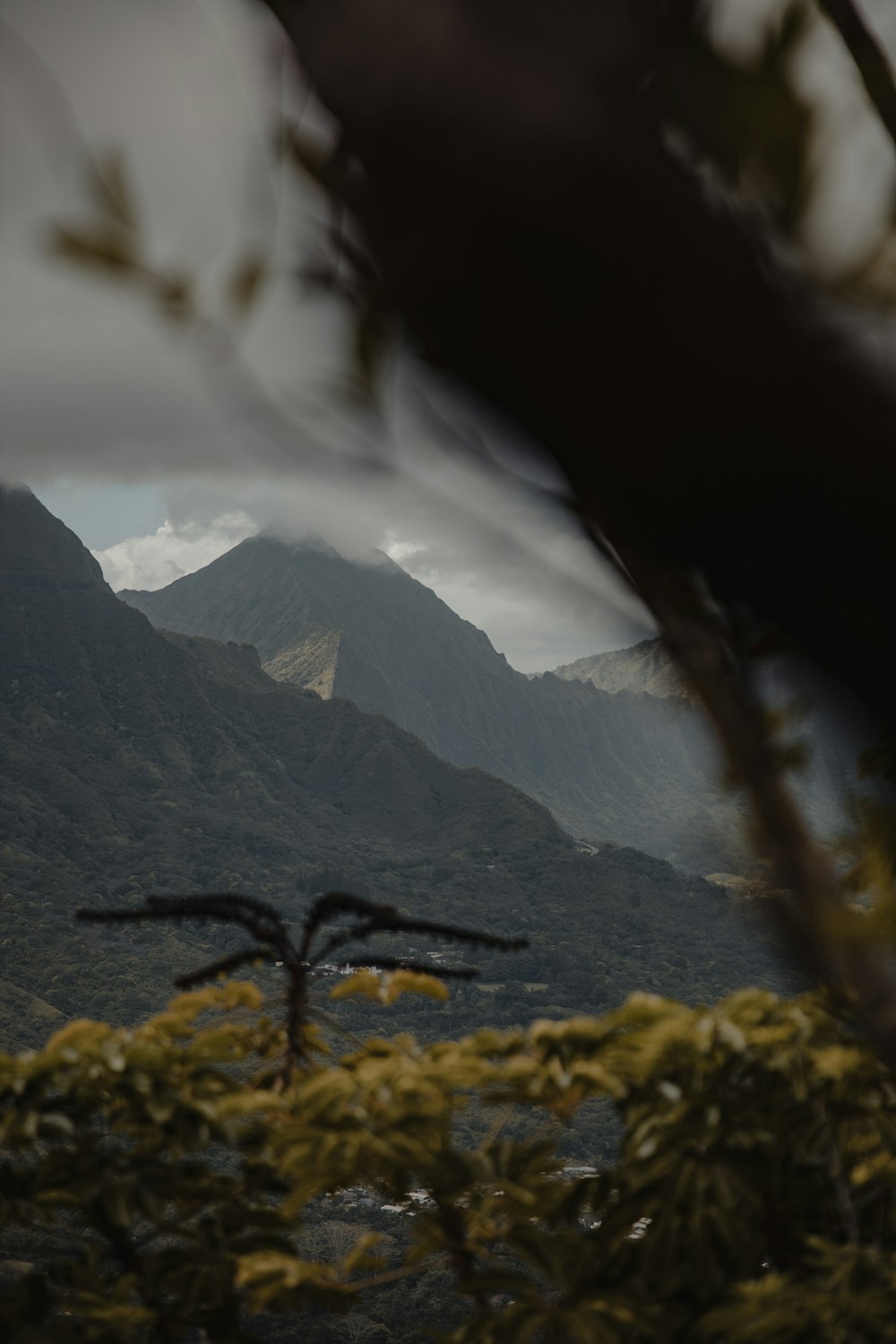 green grass and mountains during daytime