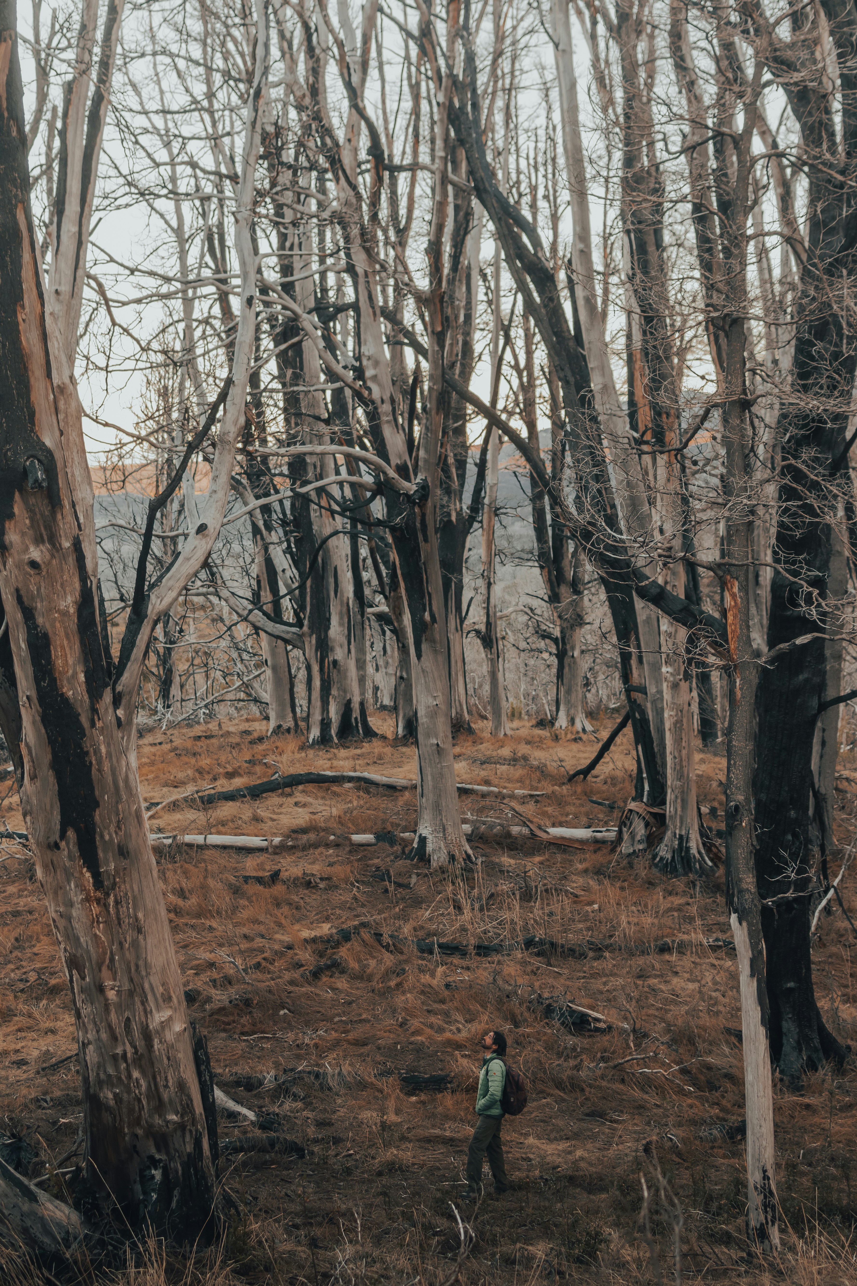 Photo by gasparzaldo