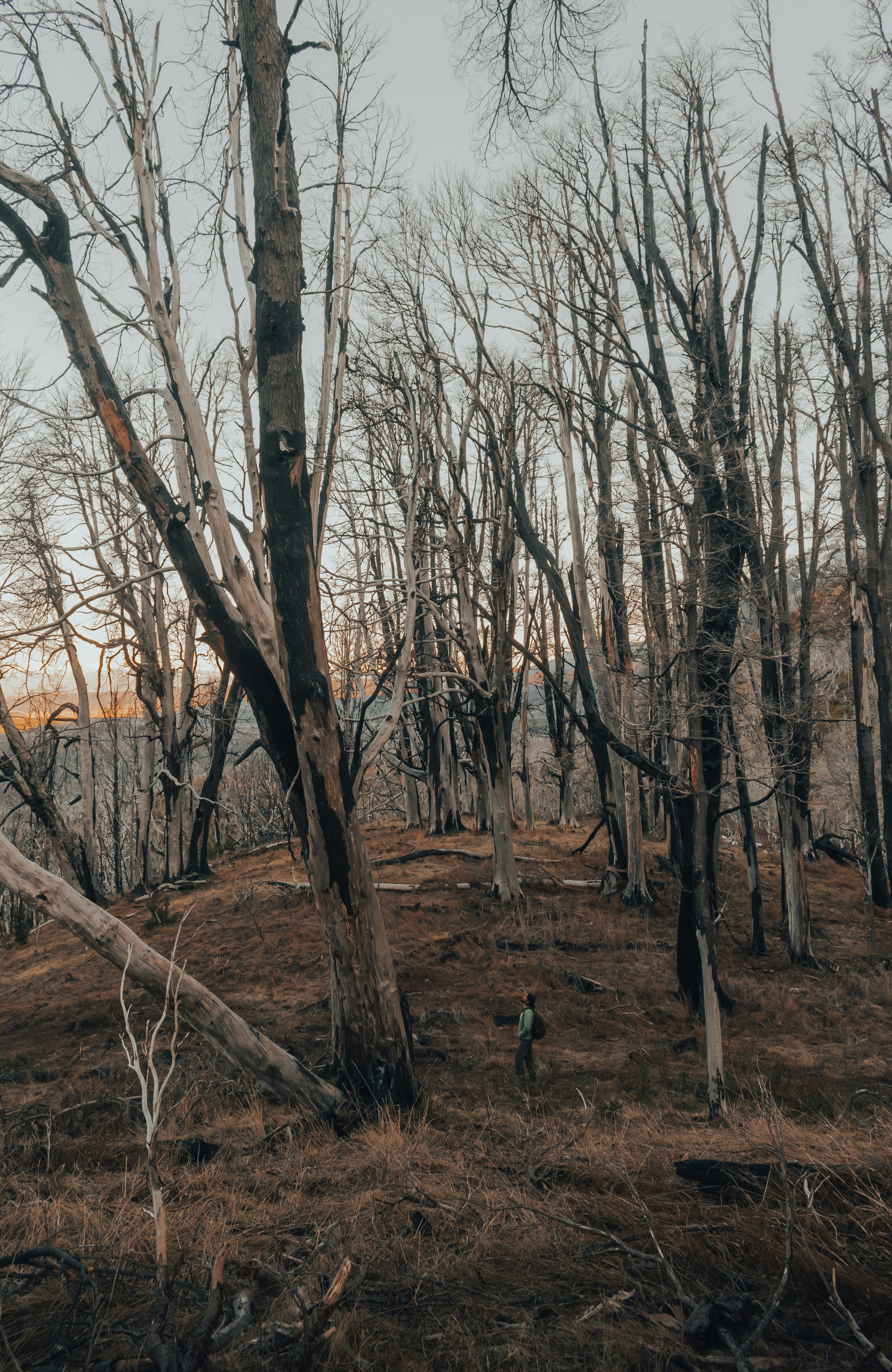 Photo by gasparzaldo