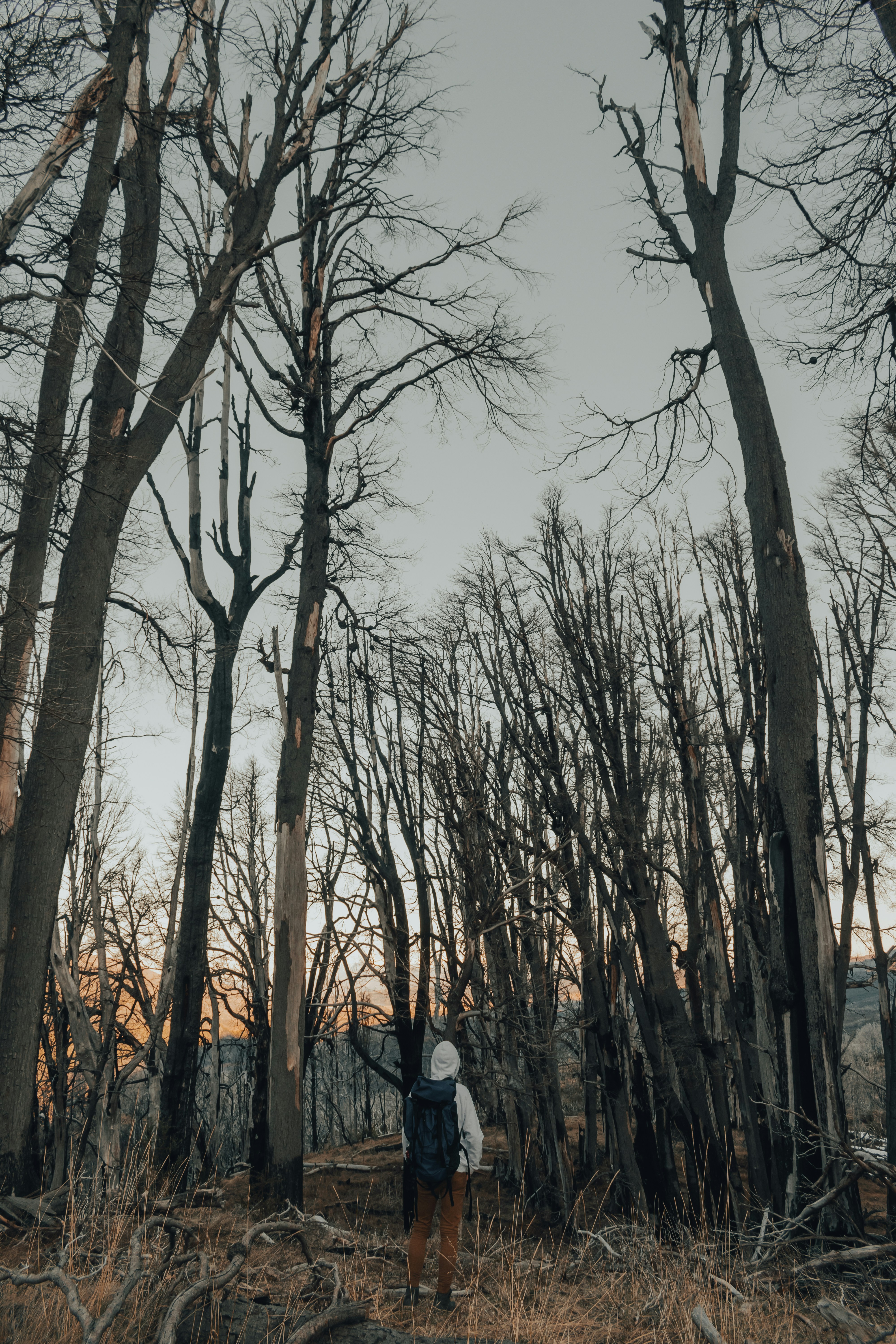 Photo by gasparzaldo