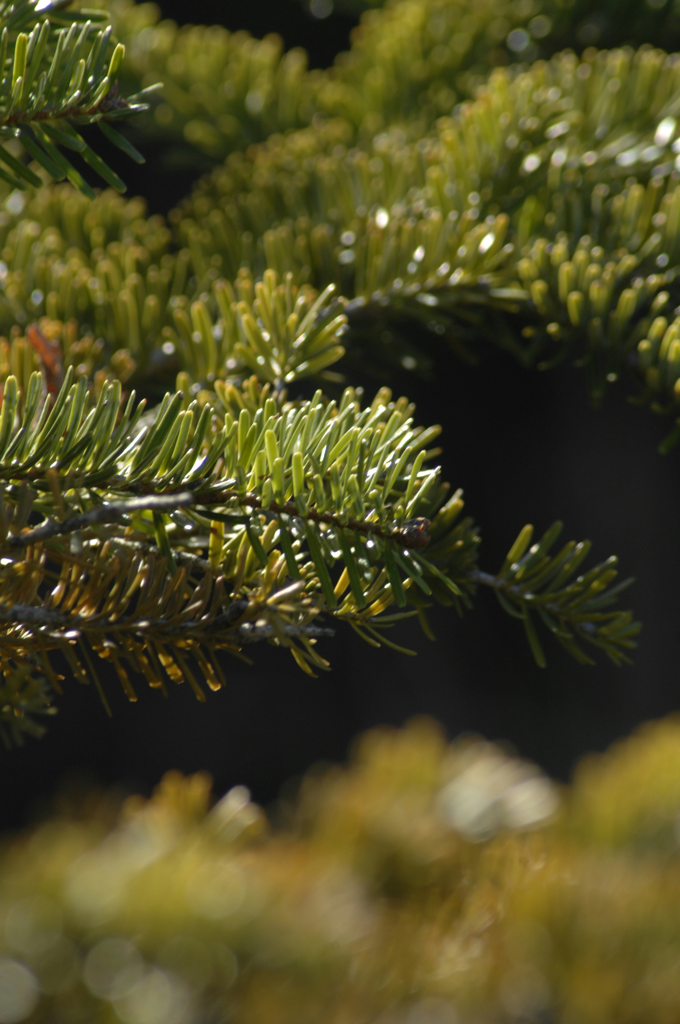 Photo by leo_taillefer