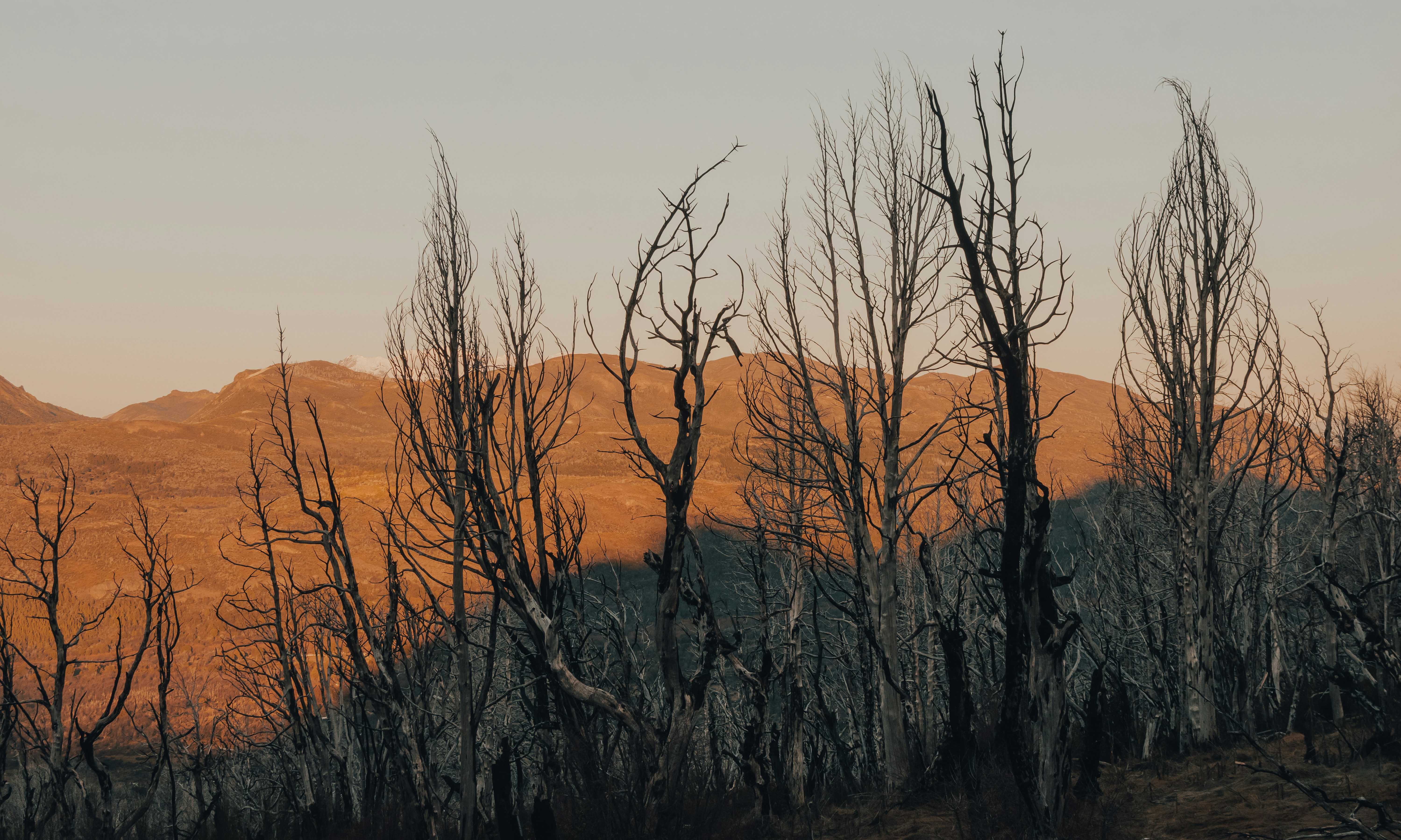 Photo by gasparzaldo