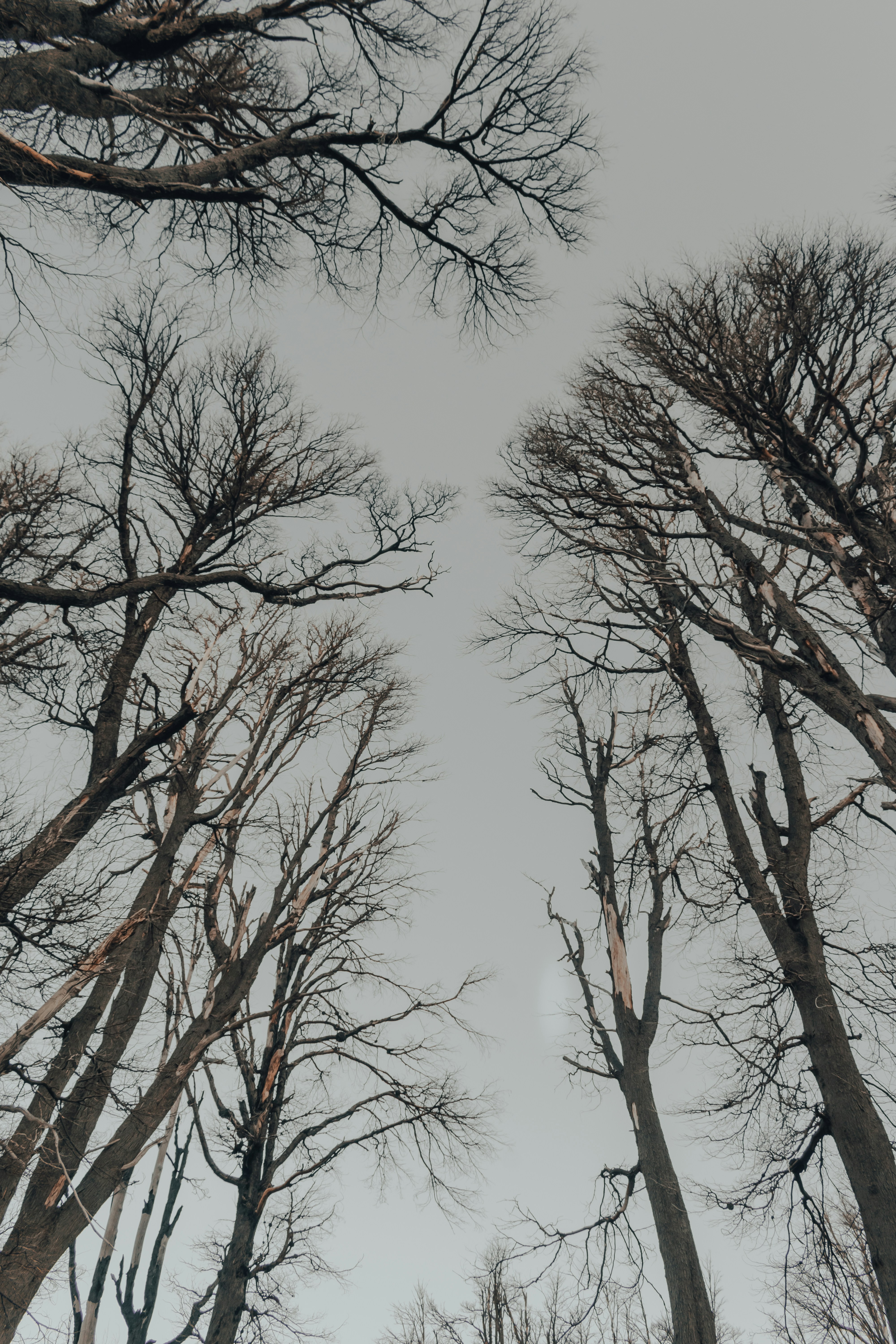 Photo by gasparzaldo