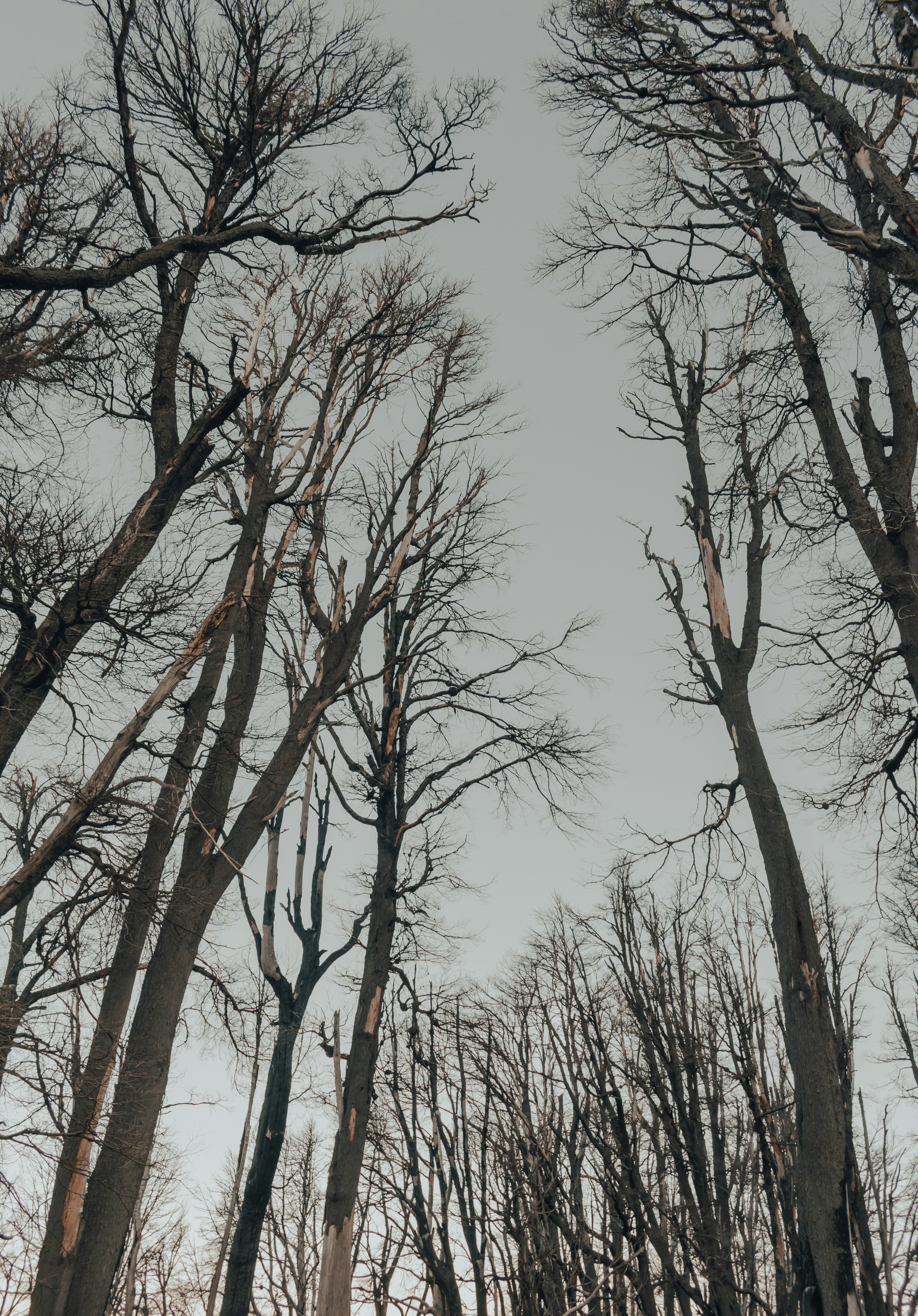 Photo by gasparzaldo