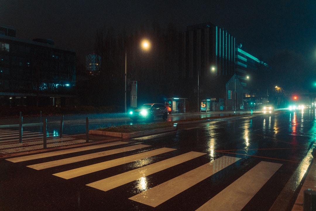 black and white pedestrian lane during night time