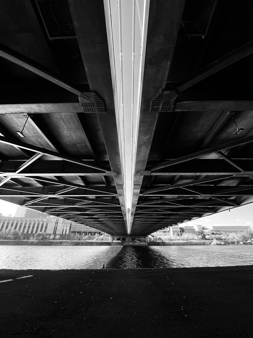 grayscale photo of bridge over the river