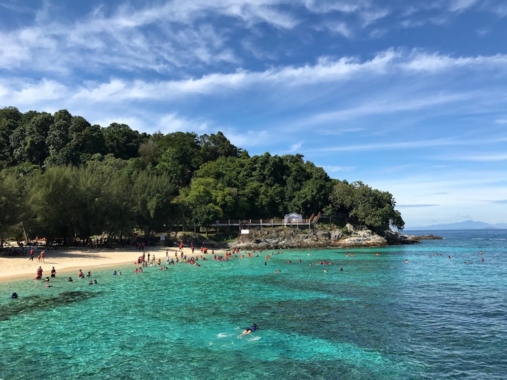 people on beach during daytime