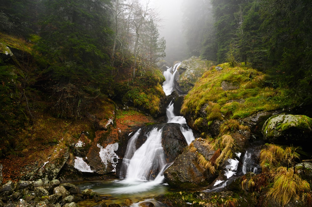 waterfalls in the middle of the forest