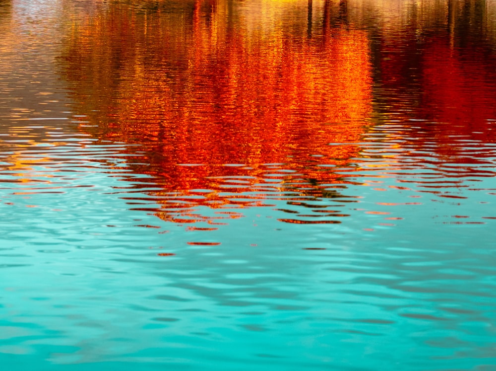 reflection of red light on water