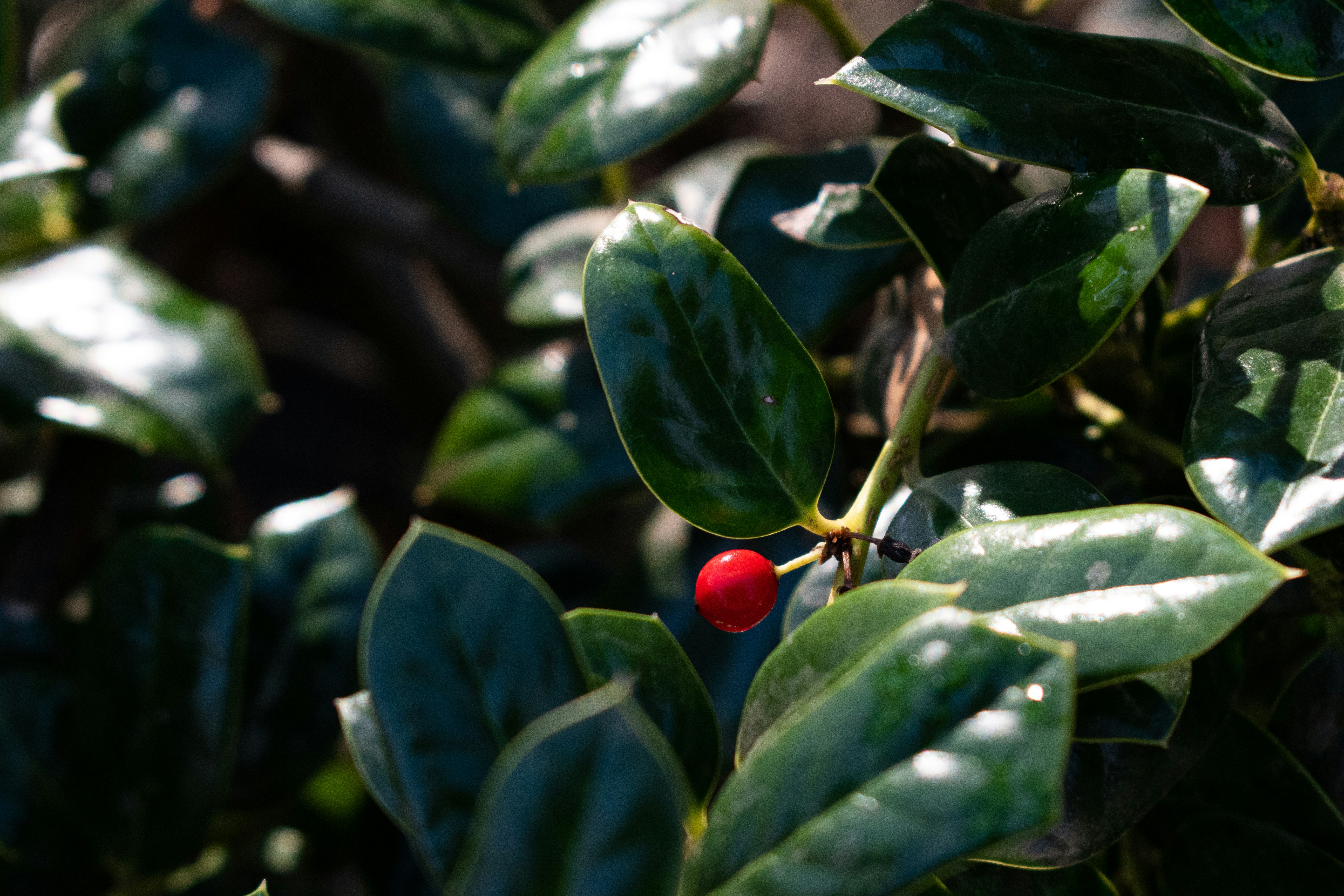 Photo by elisastonephotography