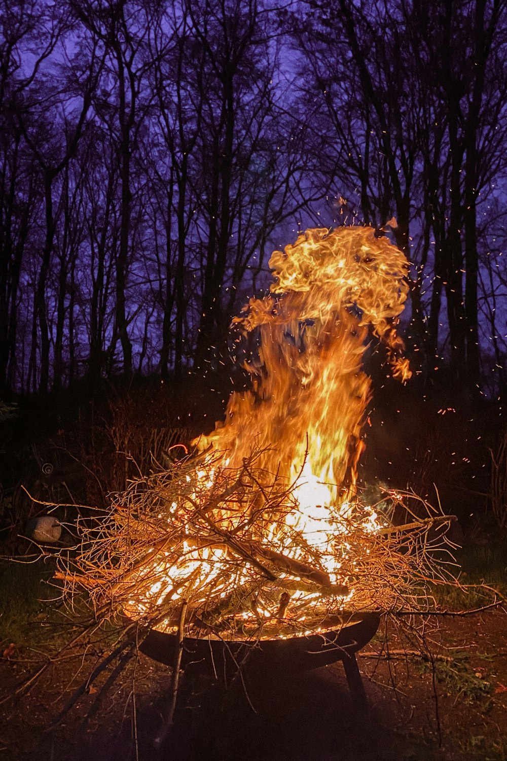 fire in the woods during night time