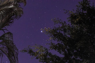 Mystical purple nebula with stars surrounding a silhouette meditating under a night sky.