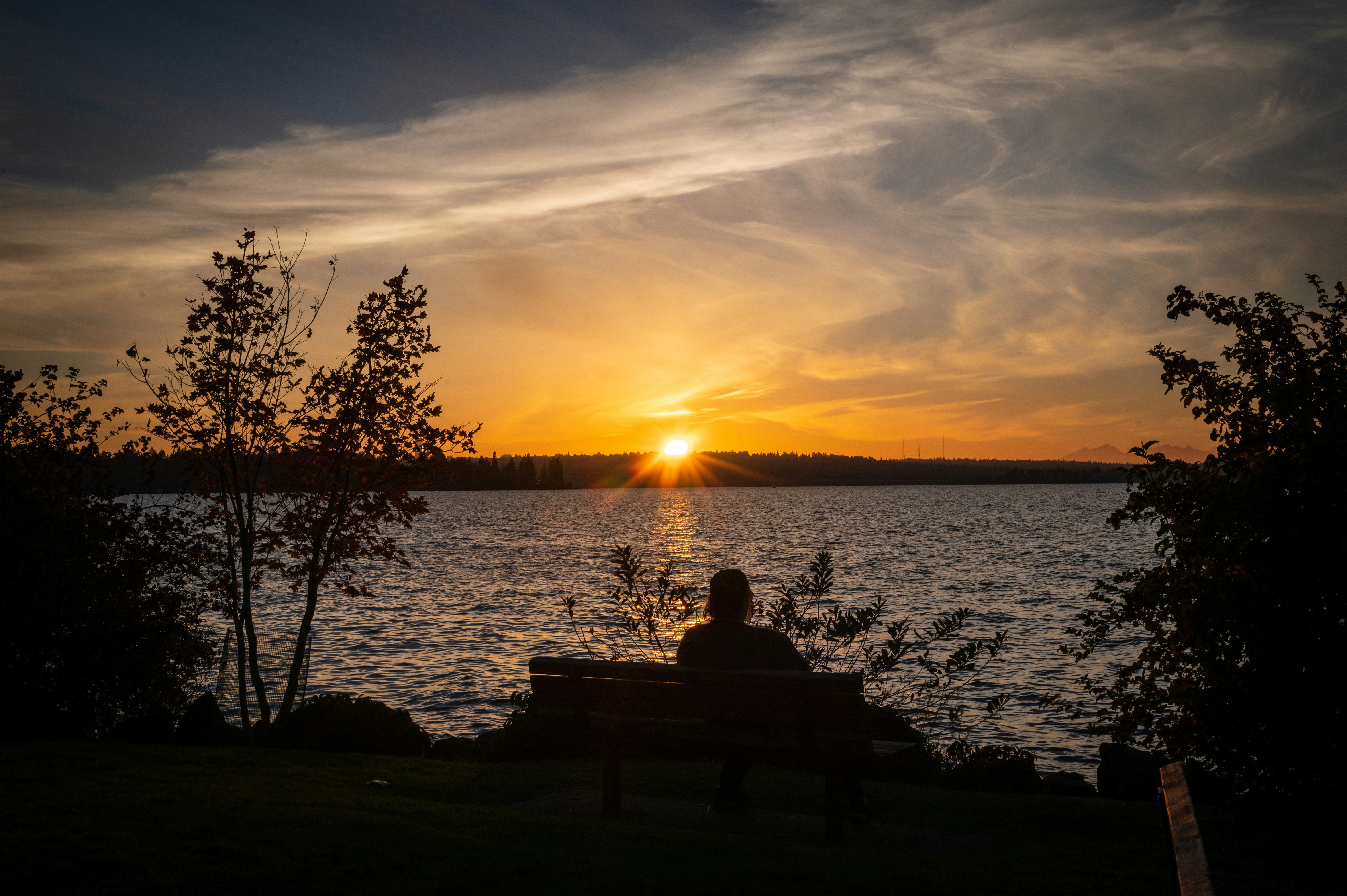 silhouette of 2 person sitting on bench near body of water during sunset