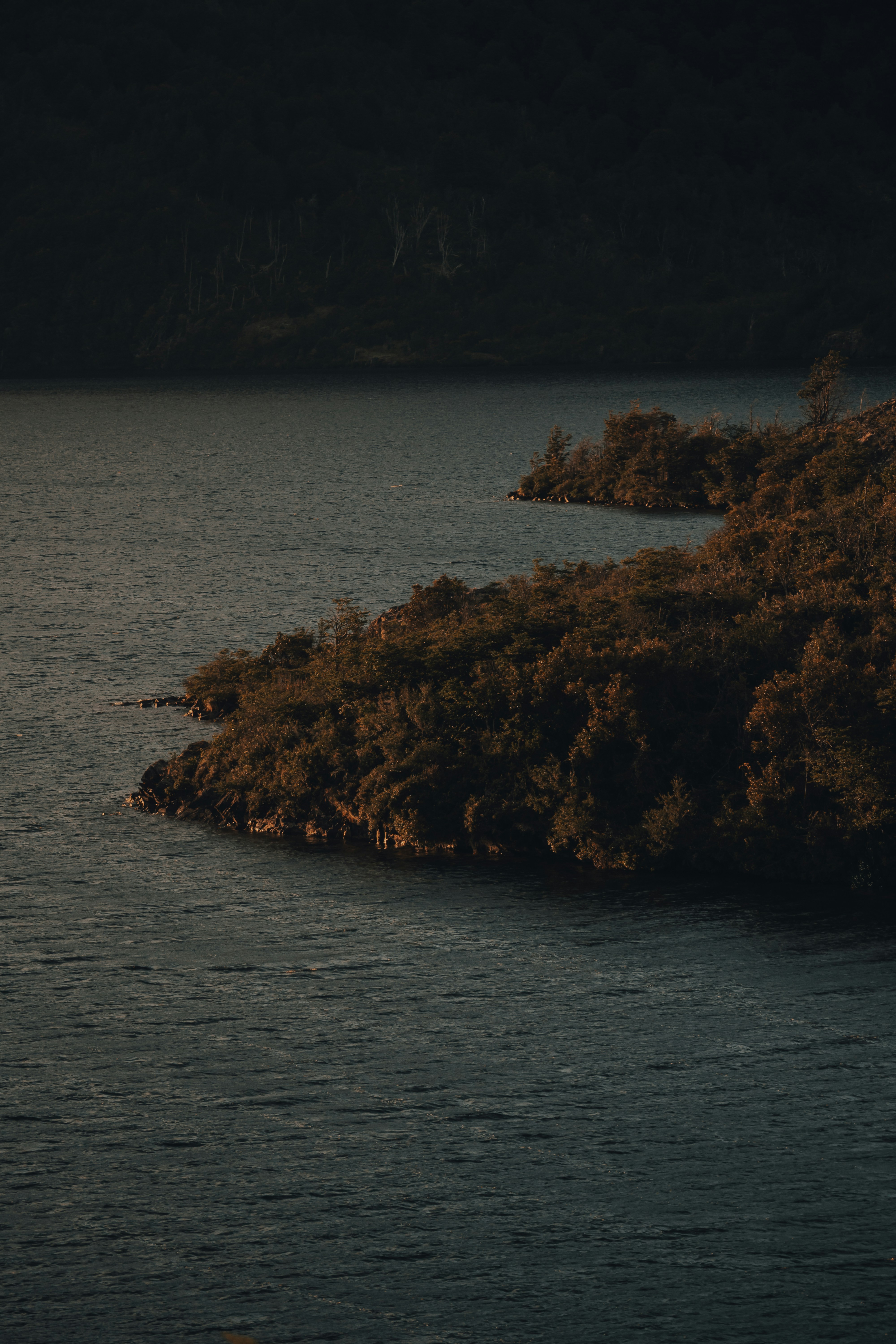 Photo by gasparzaldo