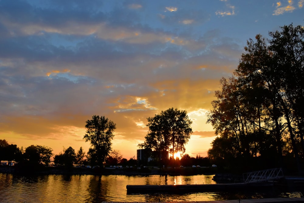 silhouette of trees near body of water during sunset