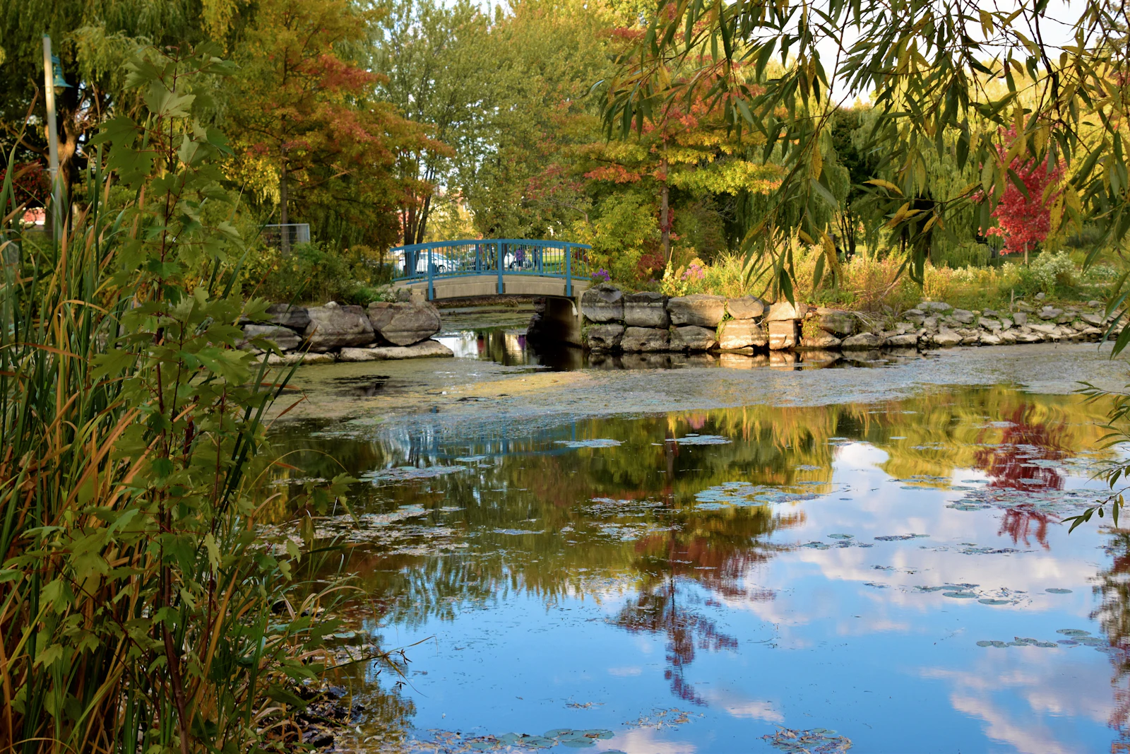 A footbridge over a pond in a park in Belleville, Ontario