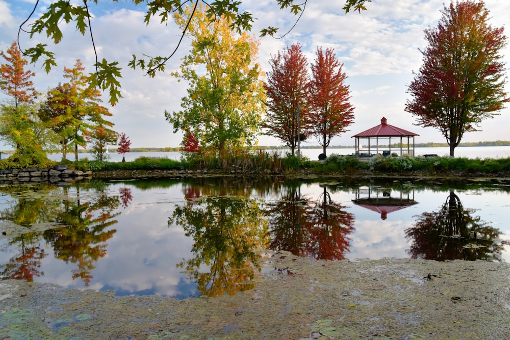 brown and white house near body of water during daytime