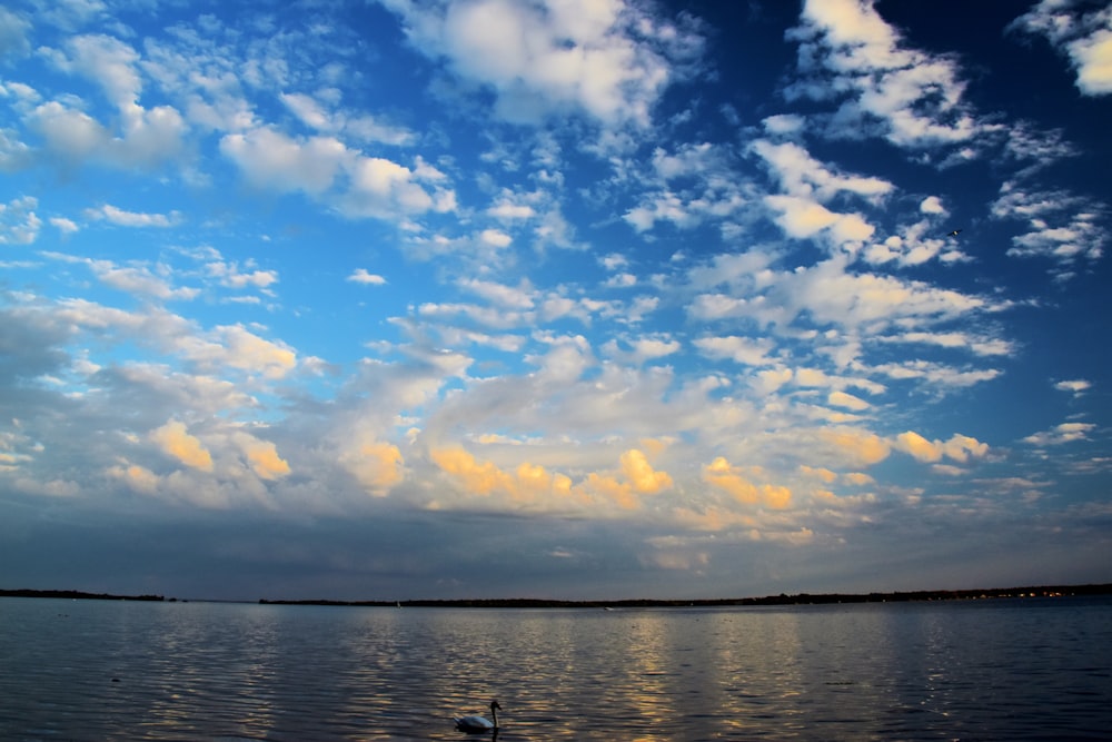 blue sky and white clouds over the sea