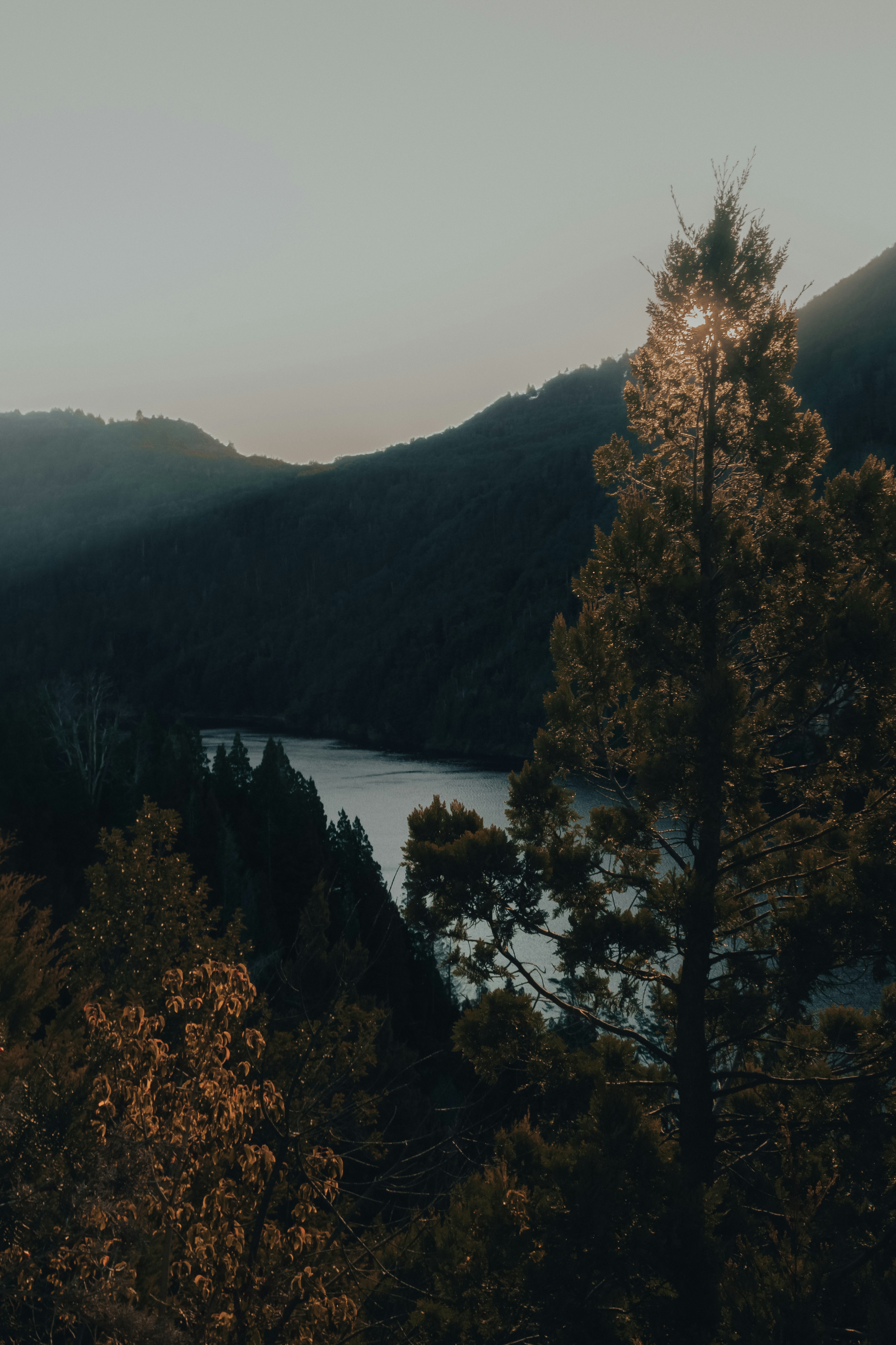 Photo by gasparzaldo