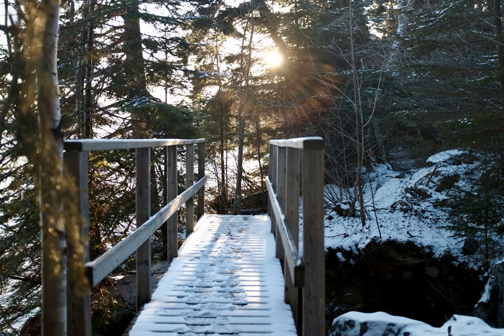 brown wooden bridge over snow covered ground