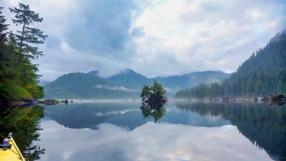 green trees near lake under white clouds during daytime