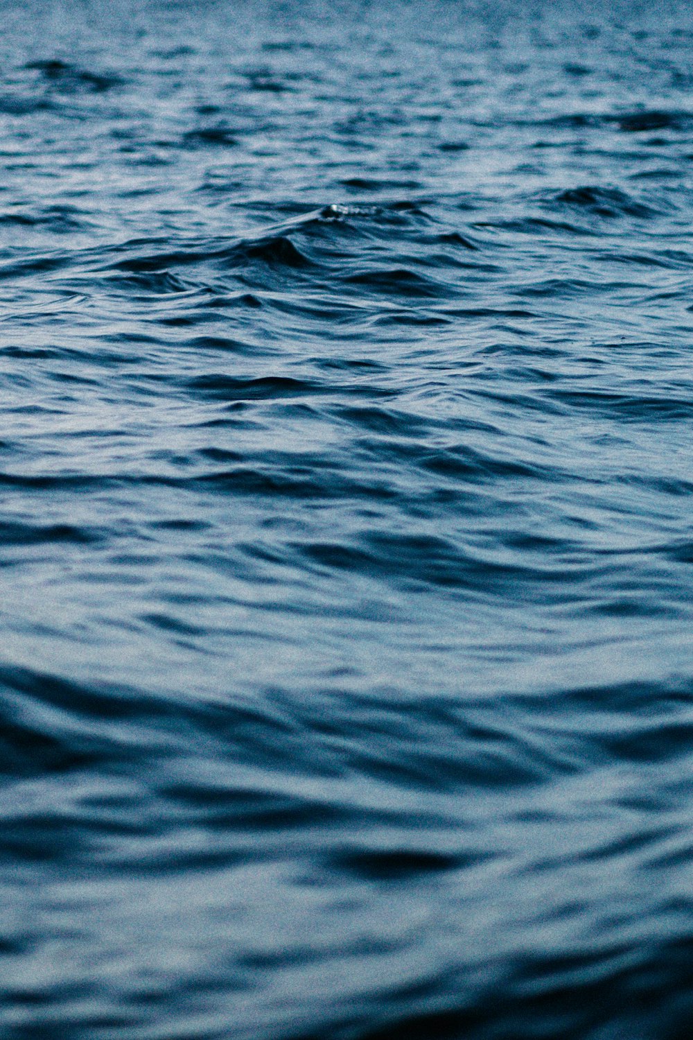 blue body of water during daytime