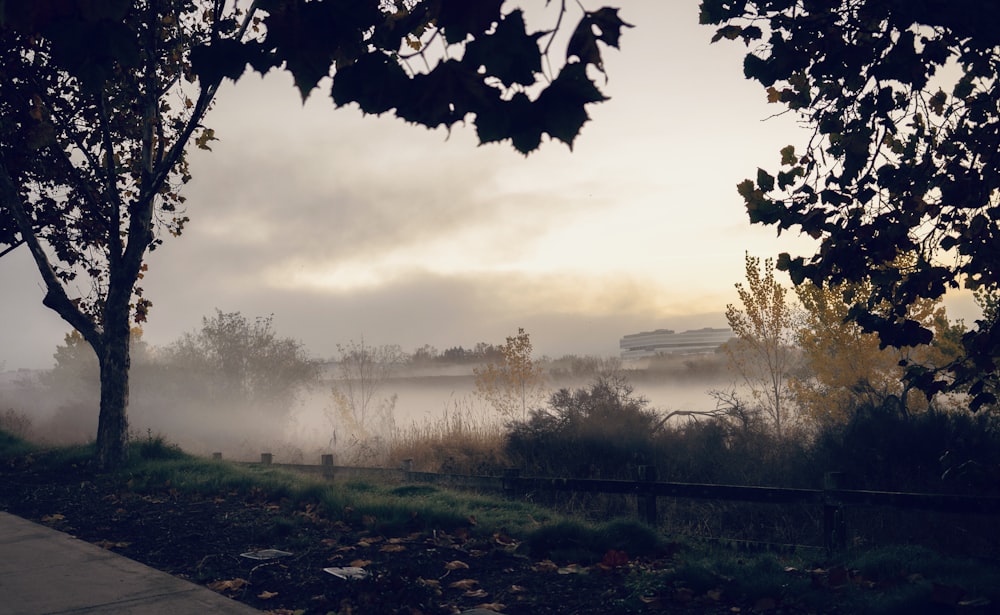 green grass field with fog during daytime