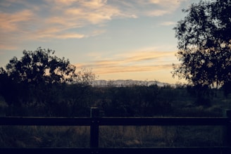 A serene landscape at dusk with soft light filtering through trees.