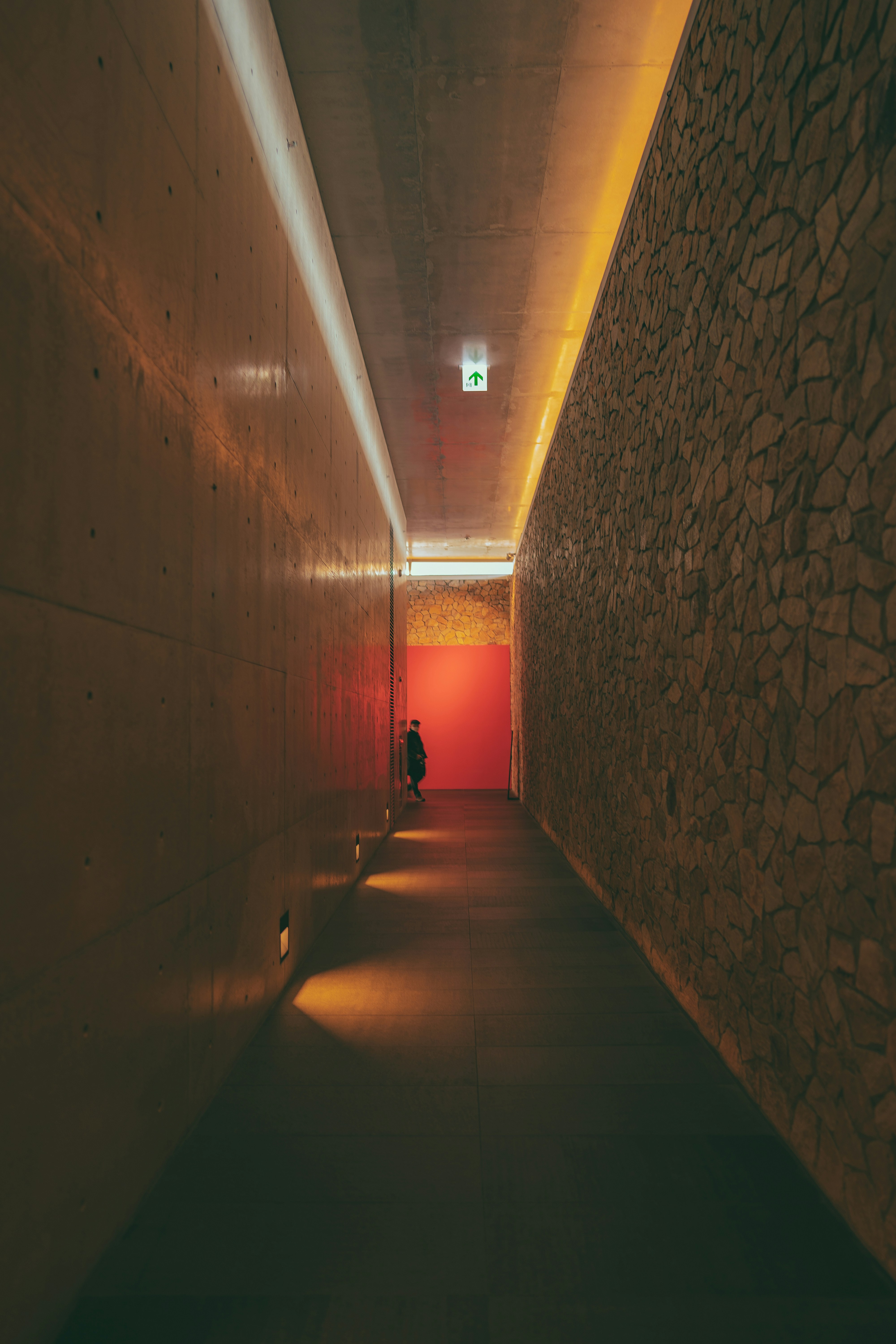 The Head Of Social Media For India’s Ruling Occasion Makes use of Twitter To Unfold Rumors And Lies. Twitter Simply Utilized A Warning Label To One Of His Tweets.