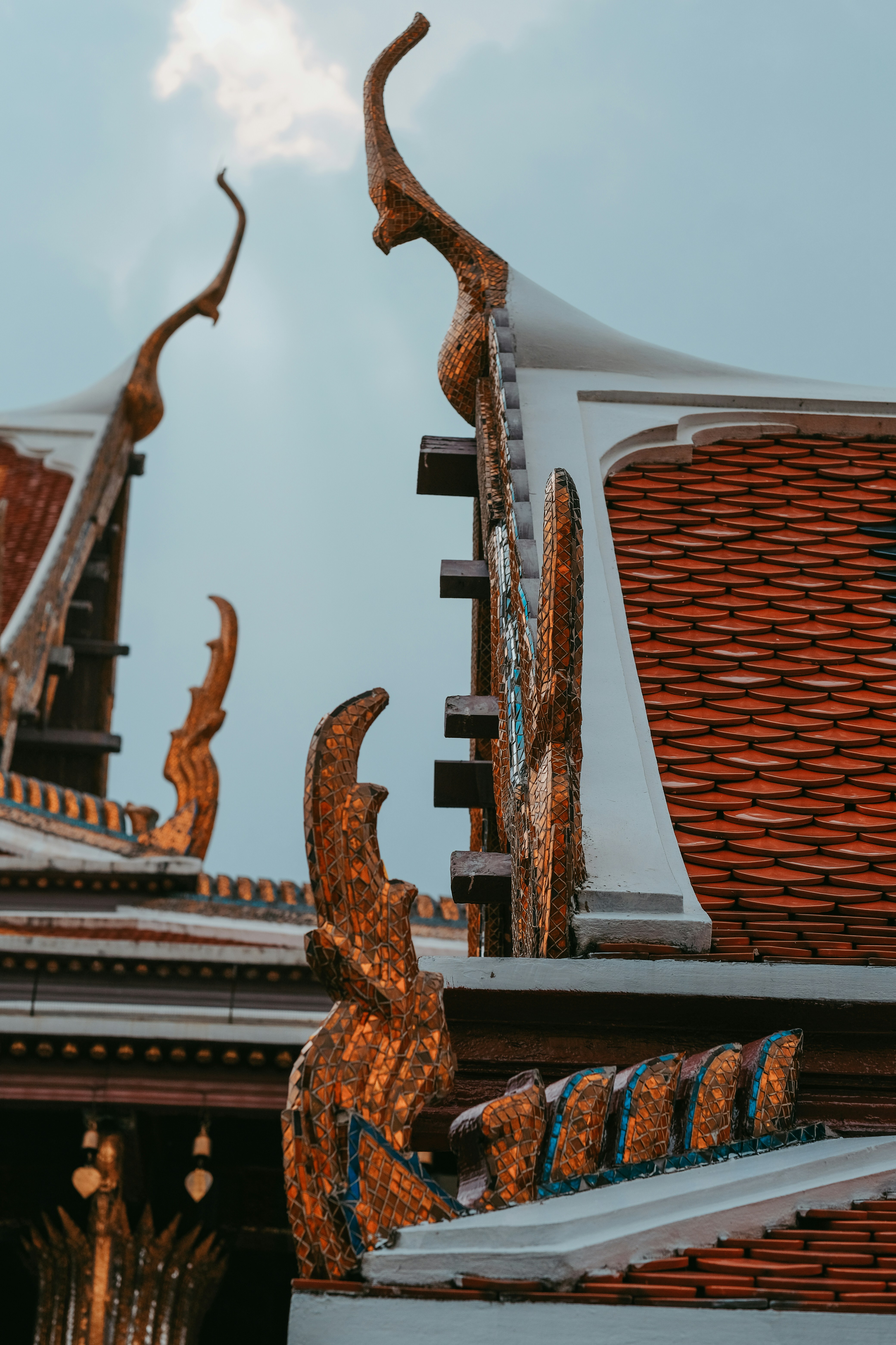 Photo by potofgold07