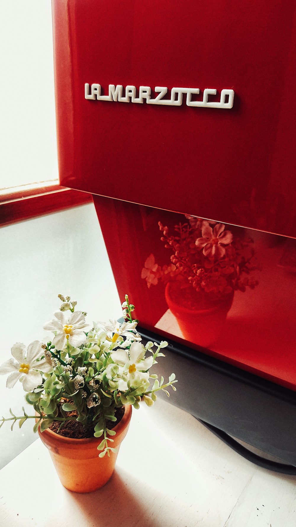 white flowers on red vase