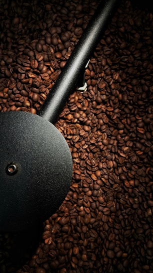 A large number of roasted coffee beans are spread out, with a metallic black scoop resting on top, creating a contrast between the dark metal and the rich brown tones of the beans.
