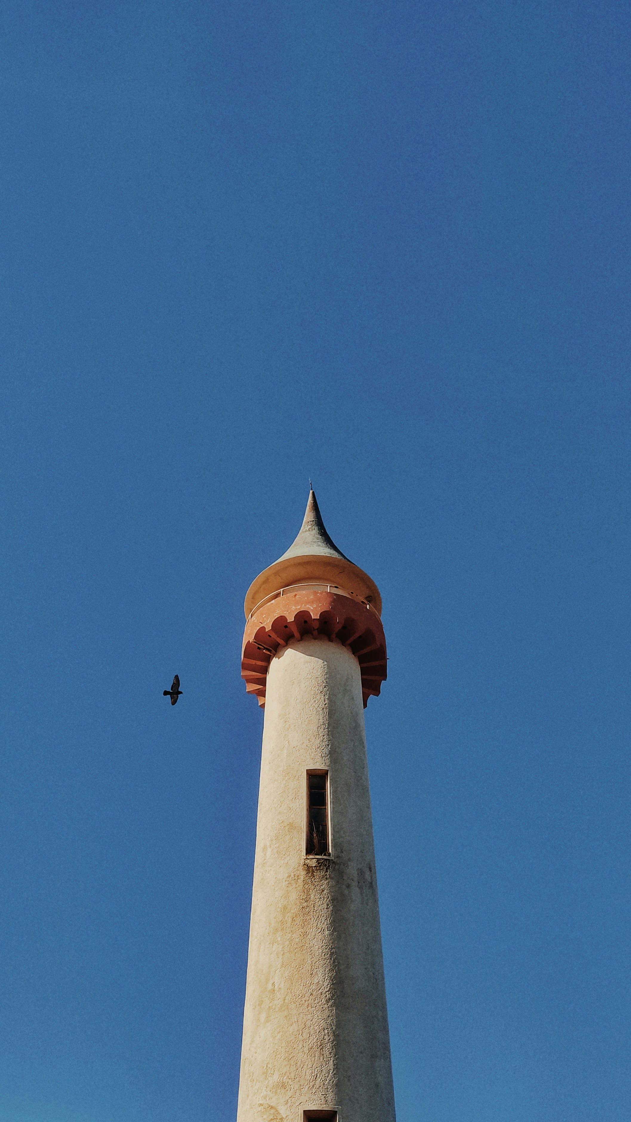 Photo by arammegh
