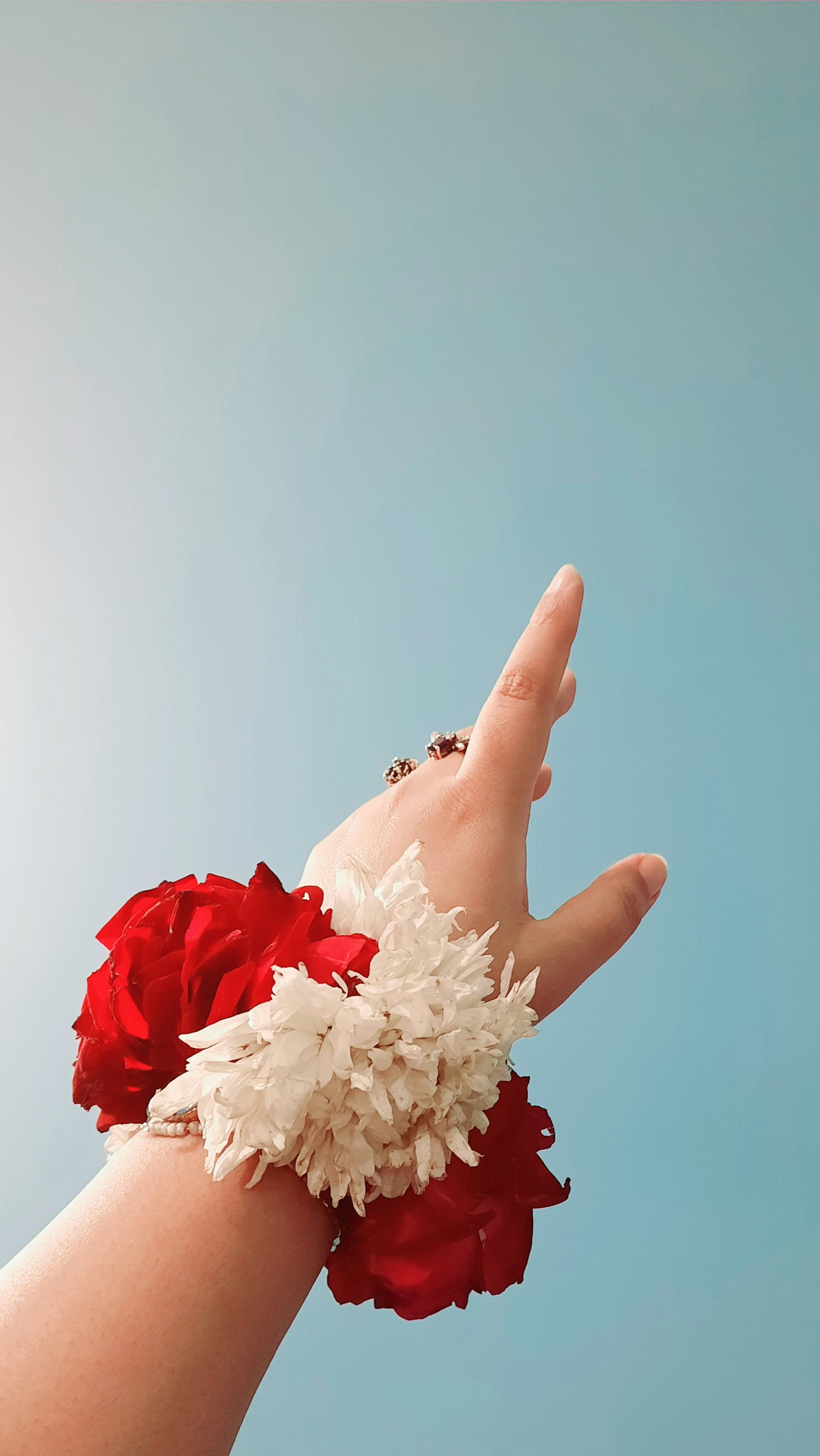 person holding white and red bouquet of flowers