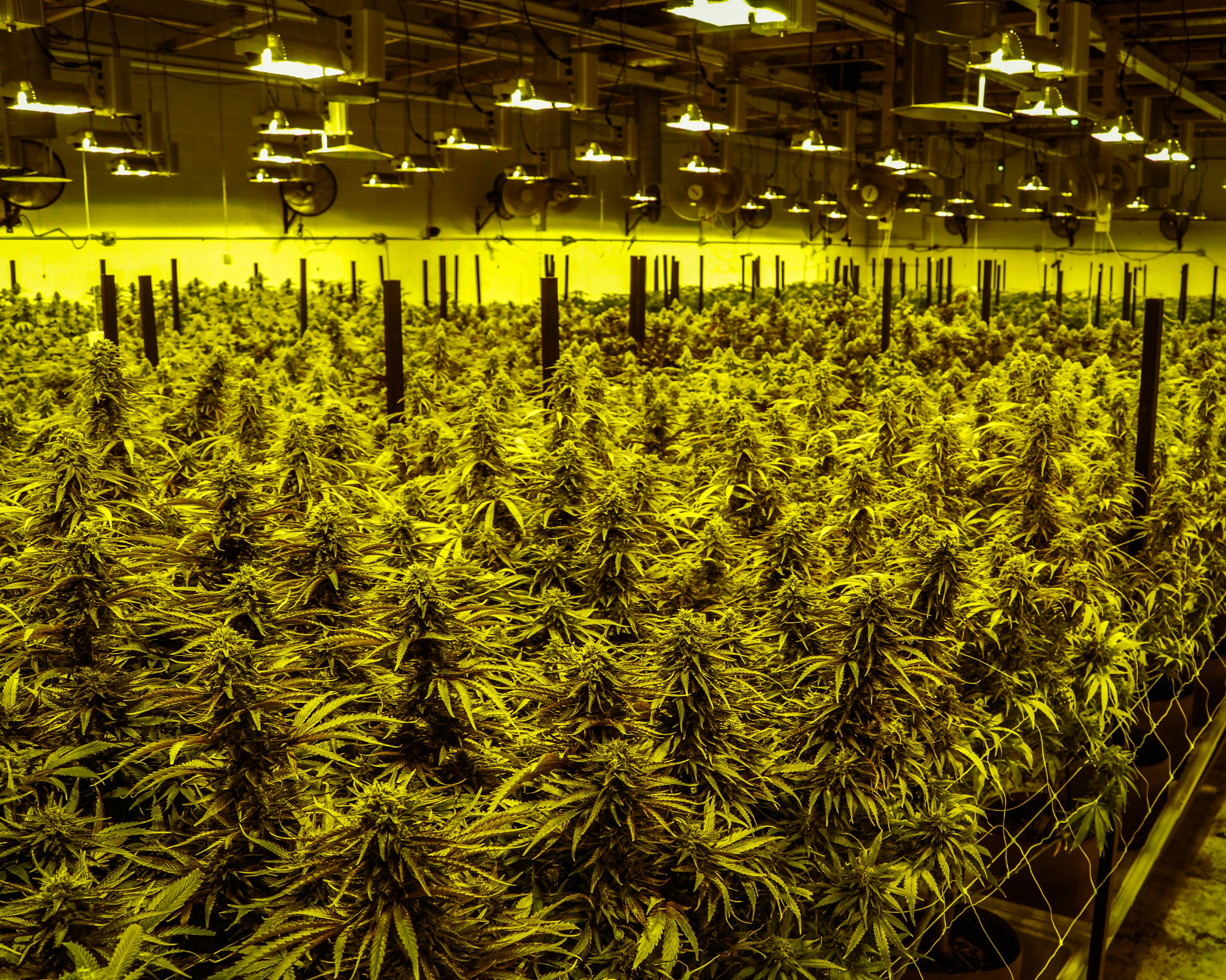 Photo by michaelhystead