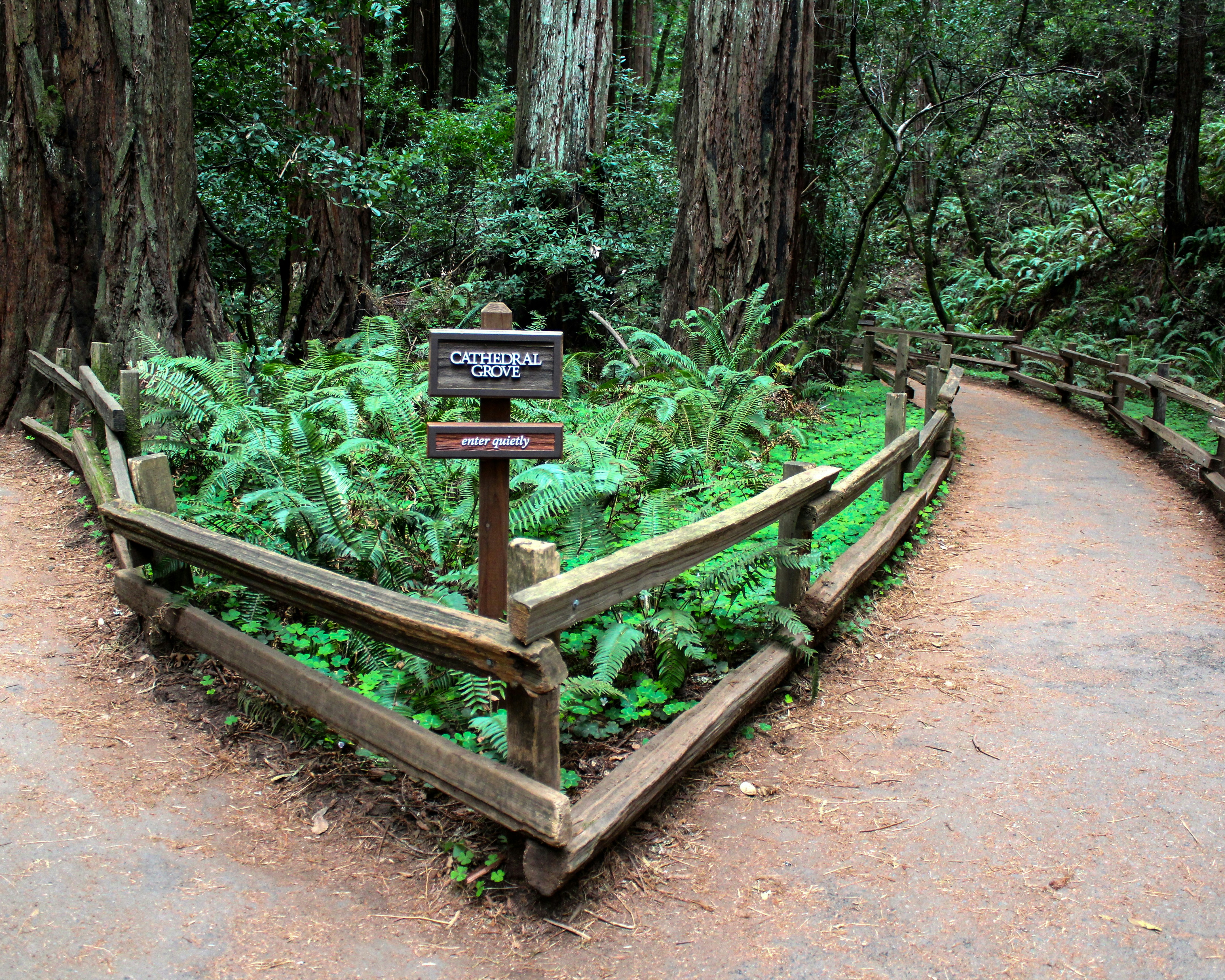 Photo by michaelhystead