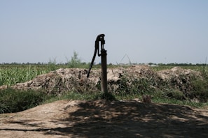 A manual water pump stands in a rural landscape surrounded by green fields and shrubs under a clear blue sky. The ground around the pump is earthy and uneven, with patches of grass and vegetation visible.