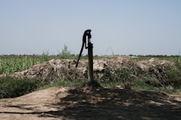 A solar water pump in action in a rural setting.