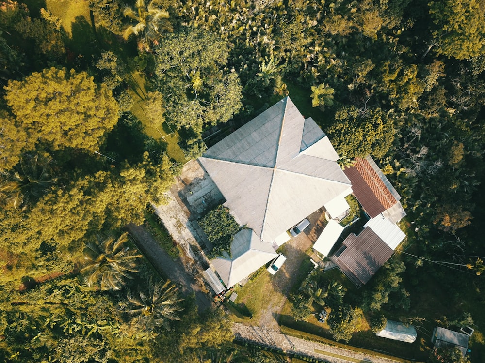 aerial view of house surrounded by trees