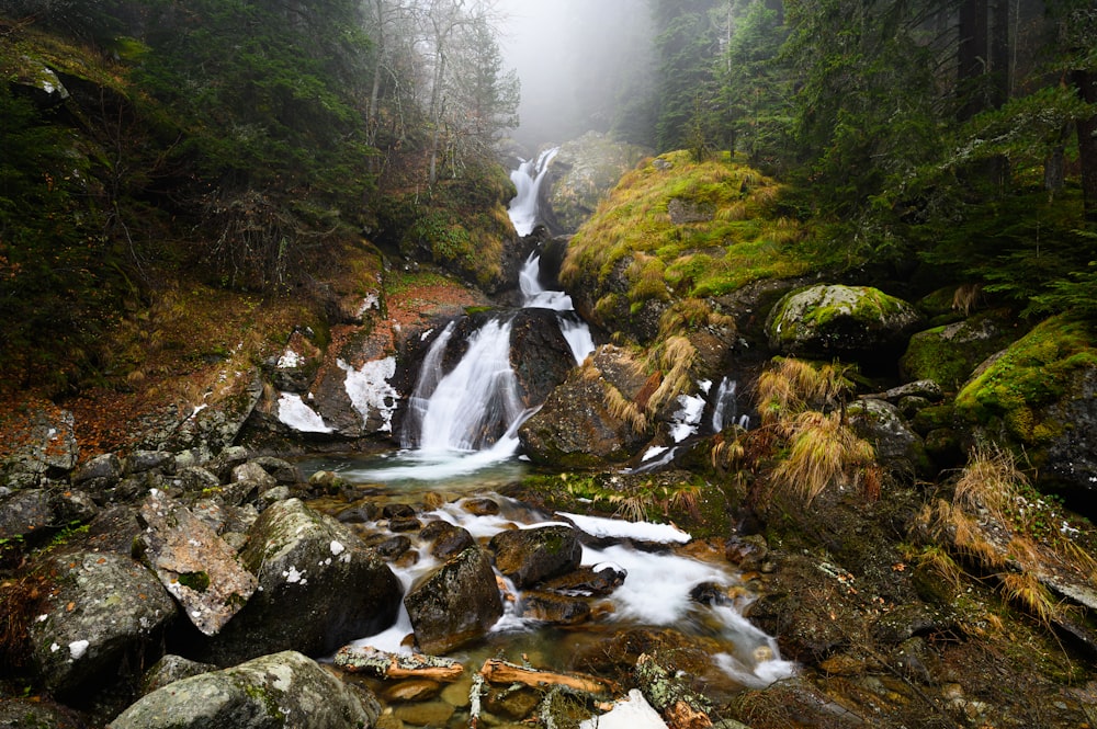 water falls in the middle of green grass field