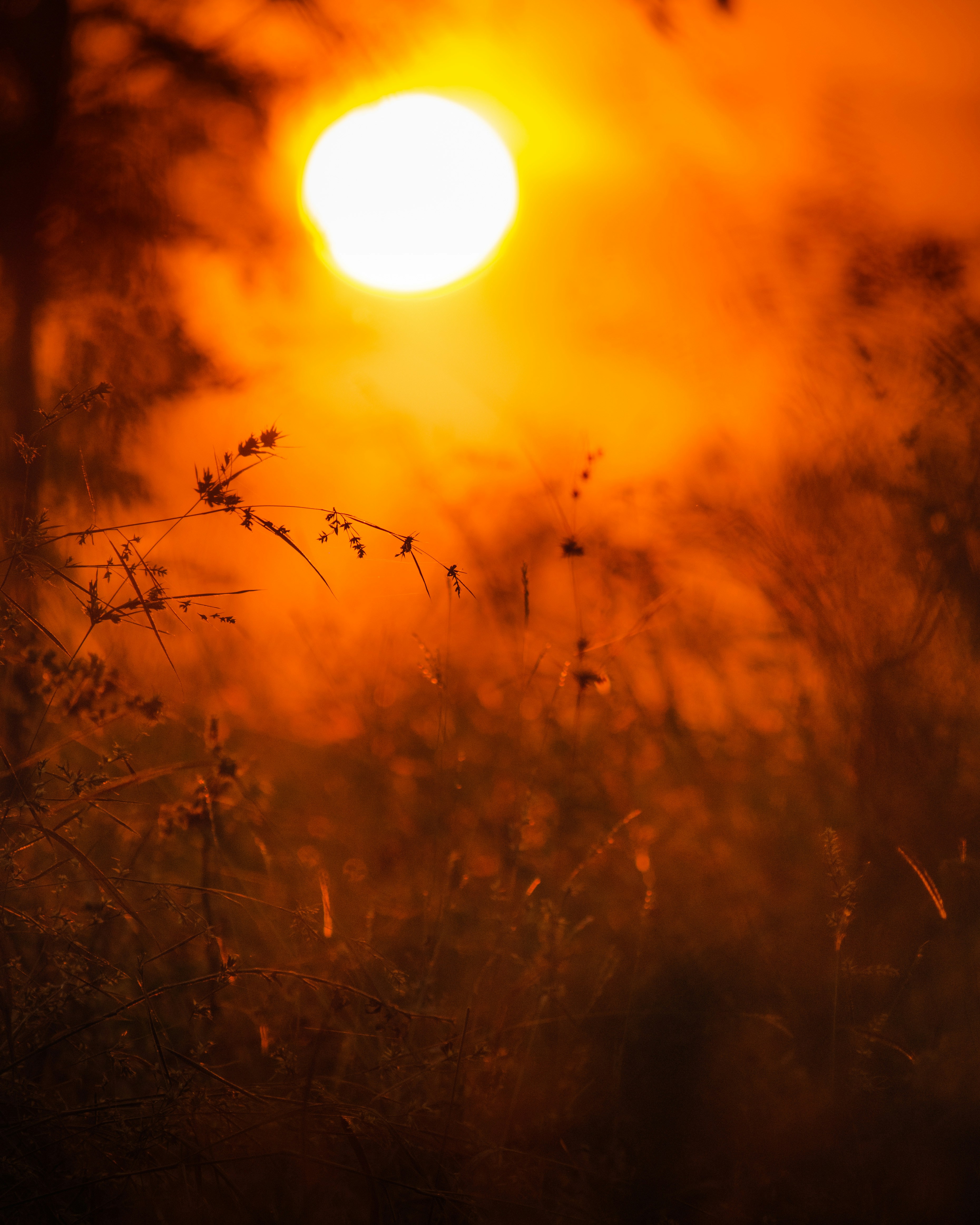 Photo by sagarkulkarni